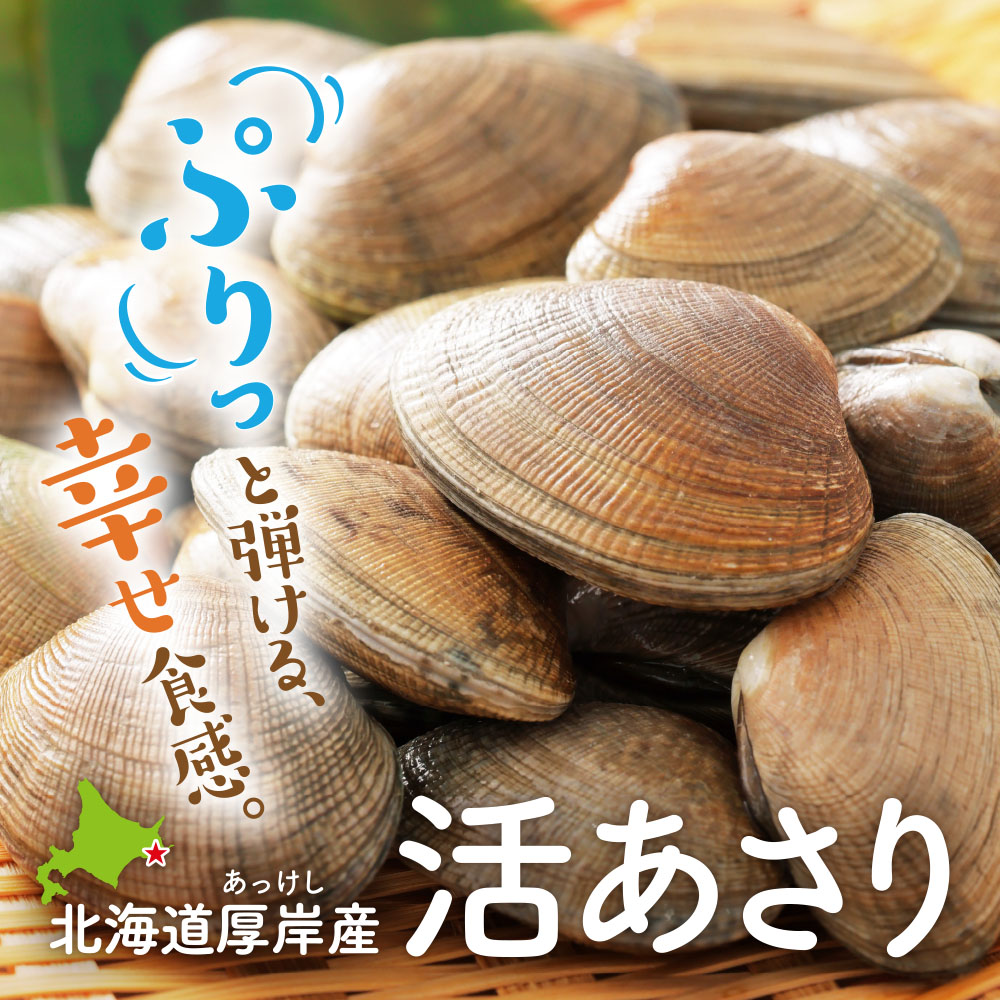 北海道厚岸産 活あさり