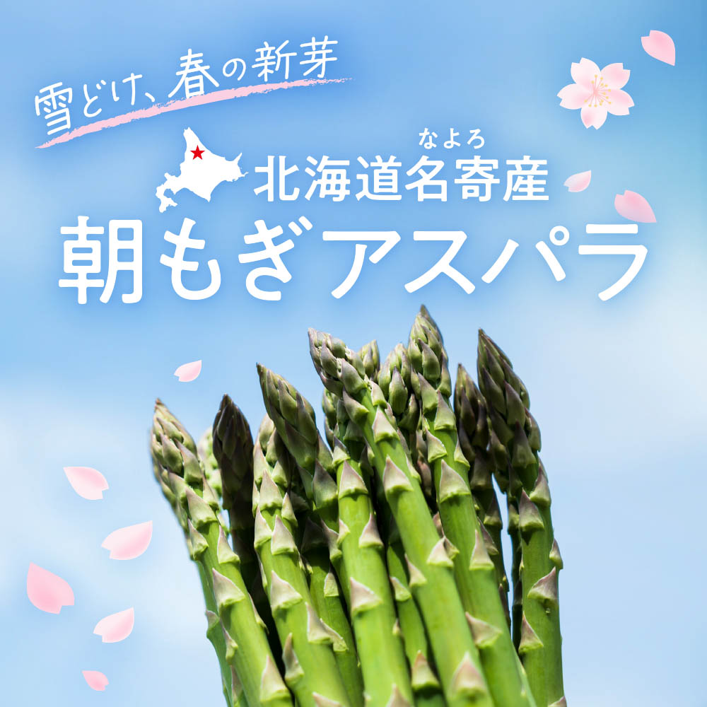 北海道名寄産 朝もぎアスパラ
