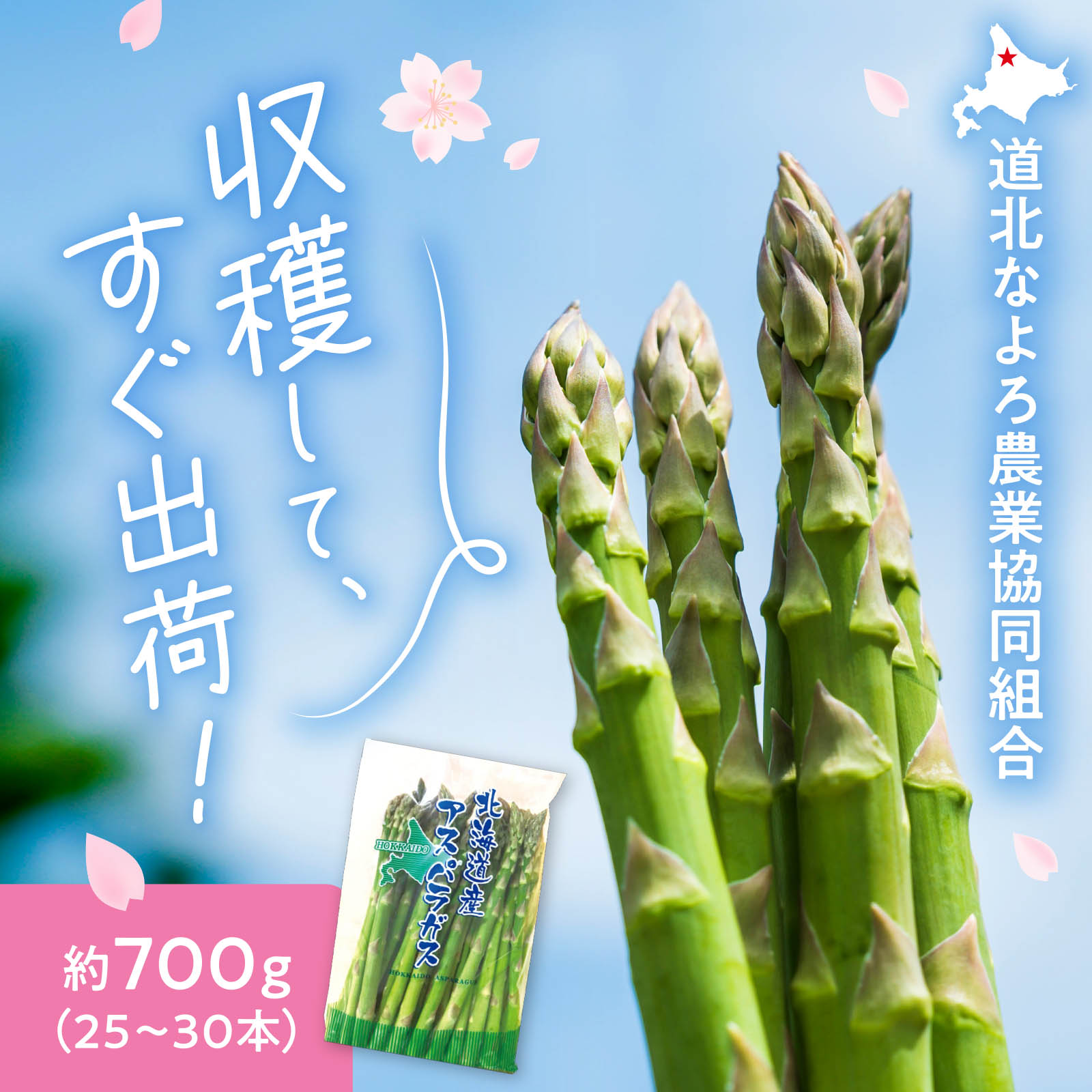 朝もぎアスパラ 約700g（25〜30本）