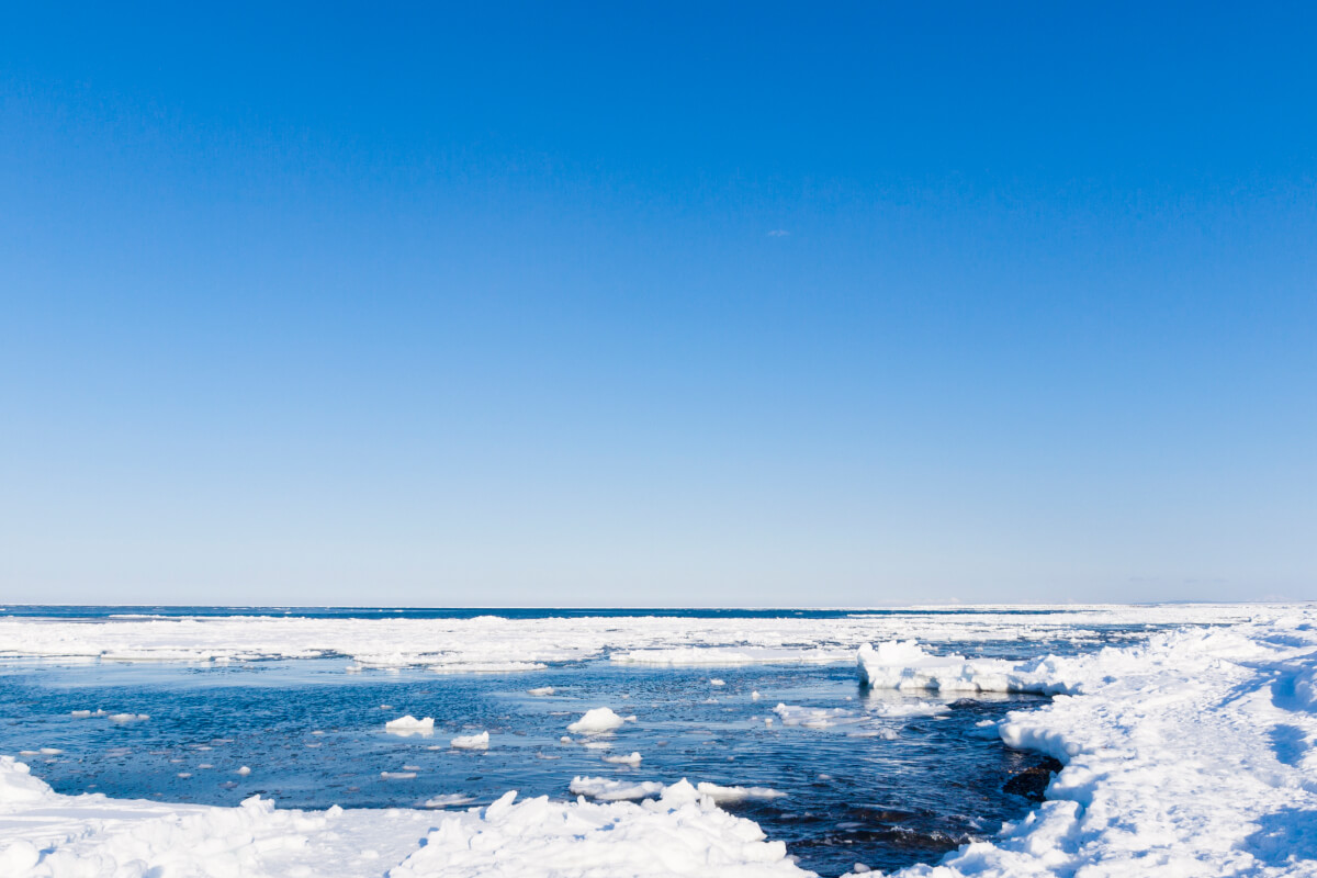 流氷が運ぶ「旬」の美味しさ！オホーツク海産の活ほたてをご自宅で！