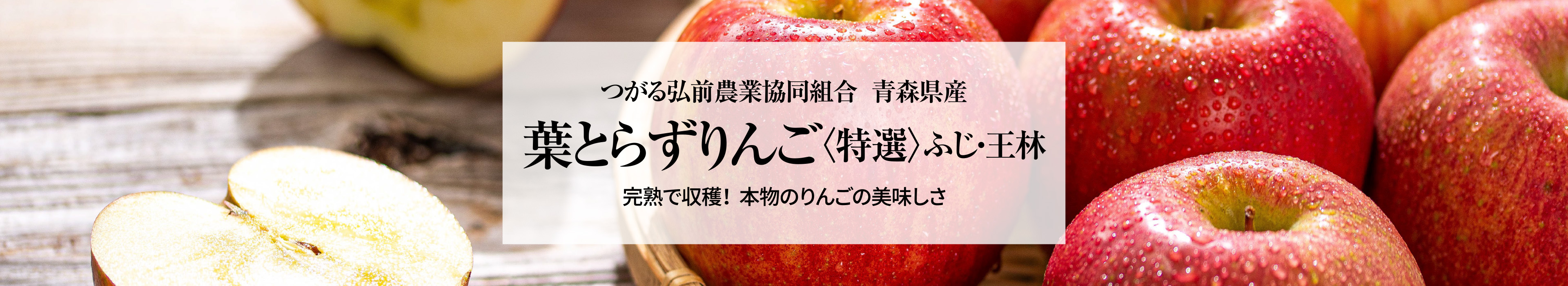 青森県産 葉とらずりんご〈特選〉ふじ・王林