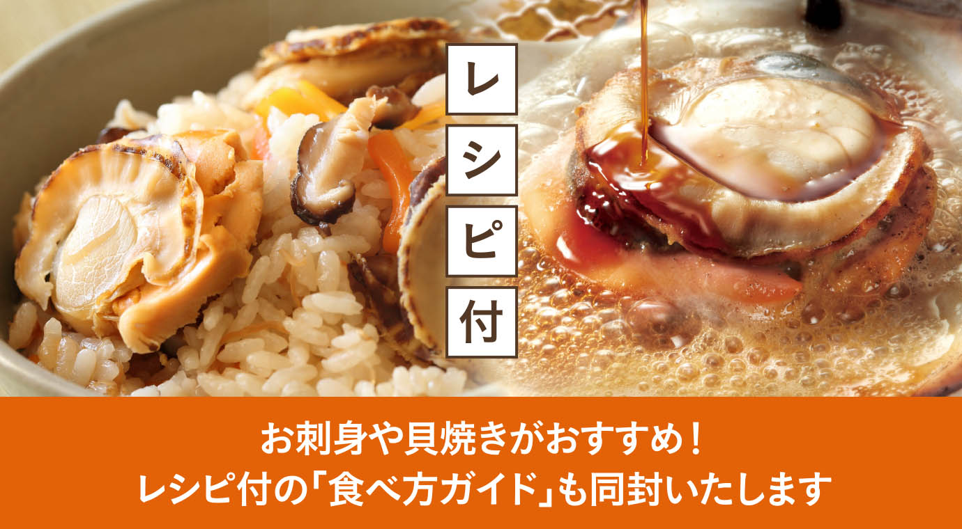 レシピ付
