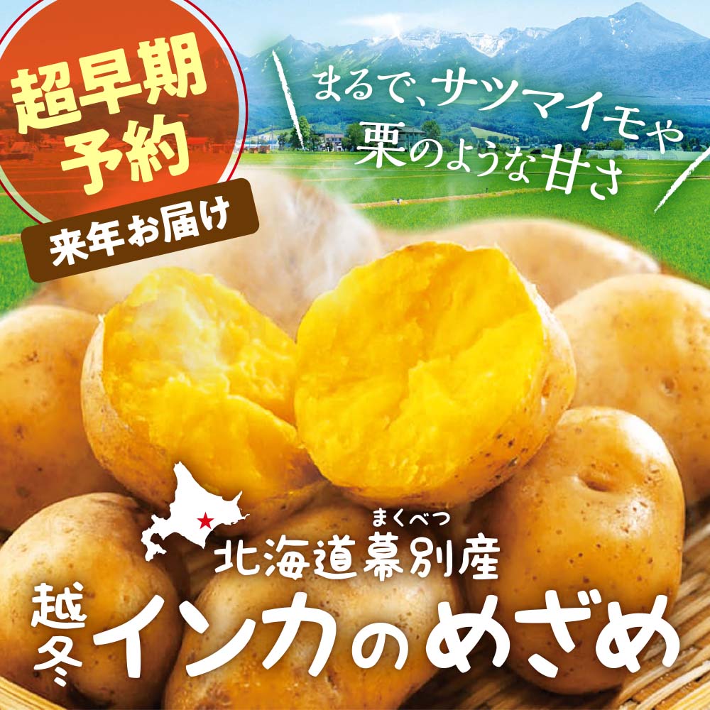 【超早期予約】北海道幕別産 インカのめざめ