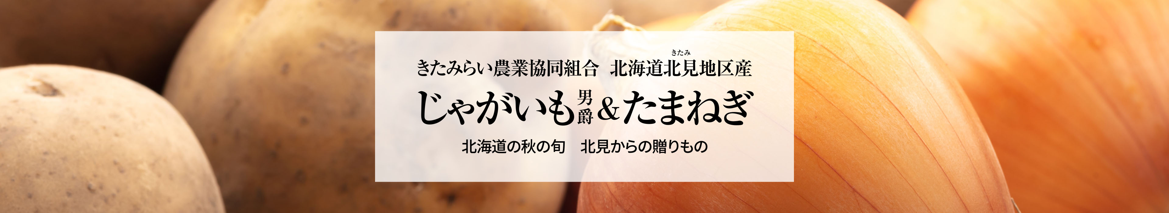 北海道北見地区産 じゃがいも男爵&たまねぎセット