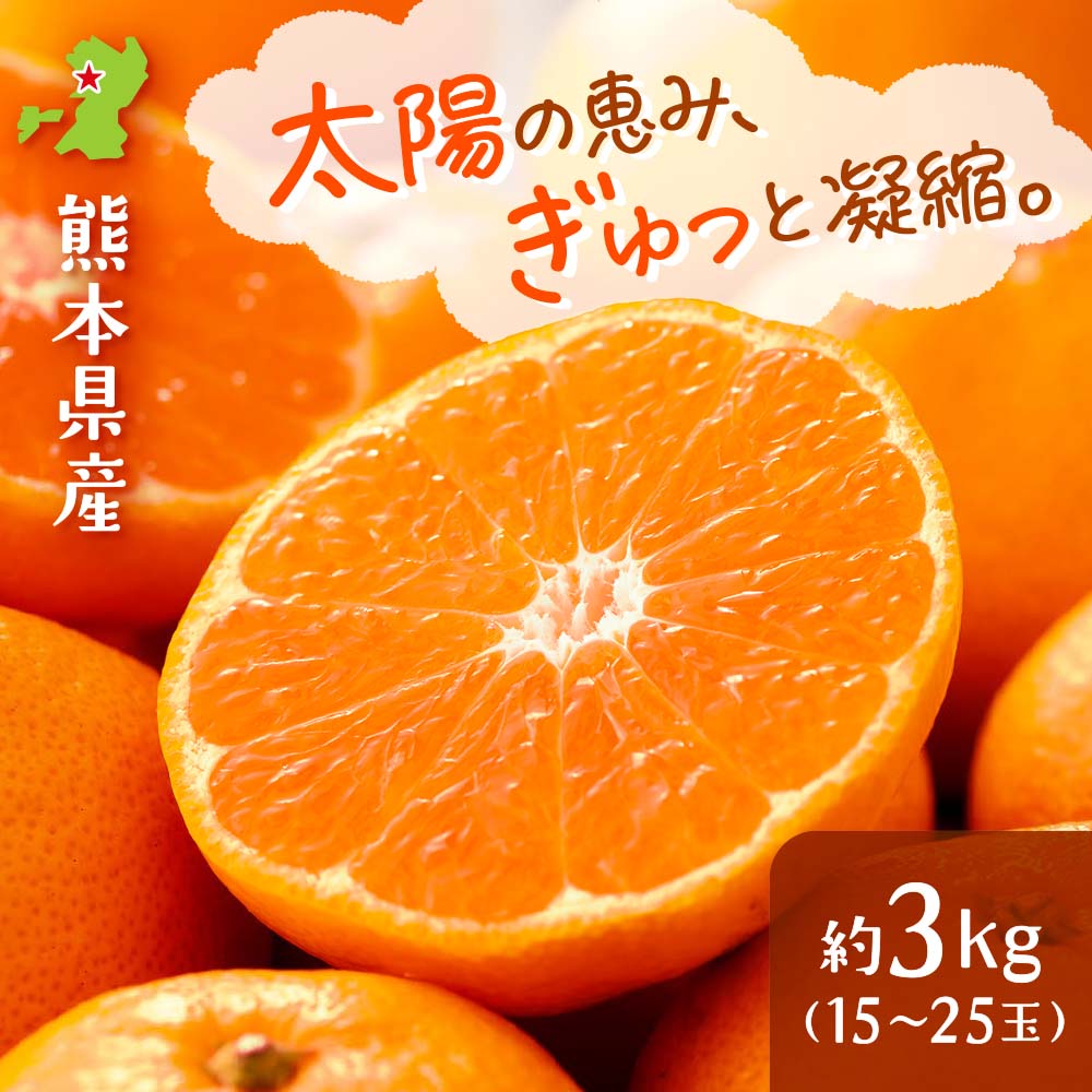 熊本県産 完熟濃蜜みかん 約3kg（15~25玉）