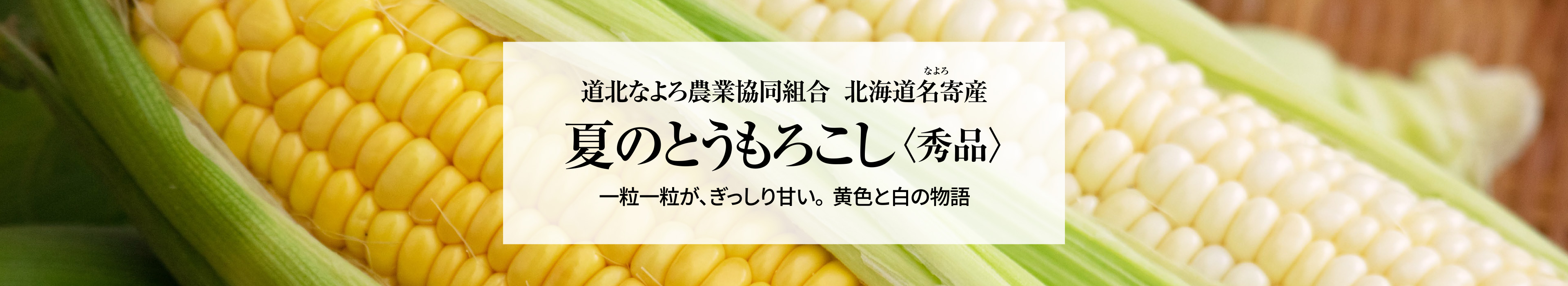 北海道名寄産 夏のとうもろこし 秀品