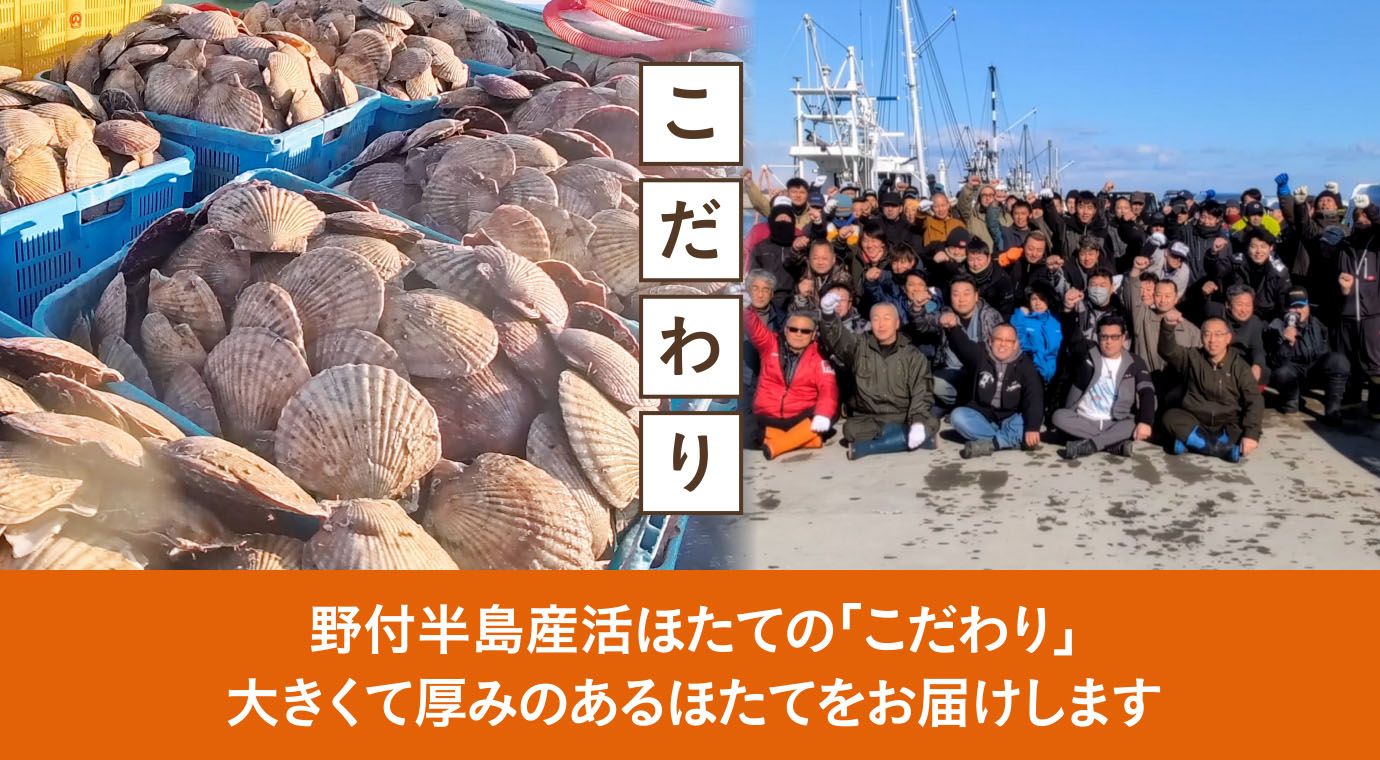 野付半島産活ほたての「こだわり」 大きくて厚みのあるほたてをお届けします