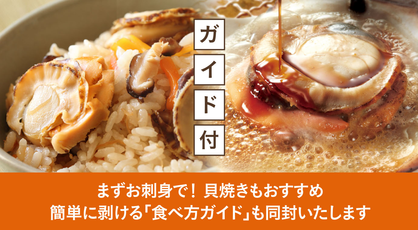 まずお刺身で！貝焼きもおすすめ簡単に剥ける「食べ方ガイド」も同封いたします