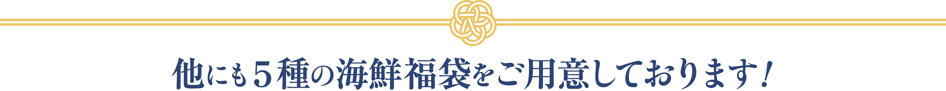 他にも5種の海鮮福袋をご用意しております！