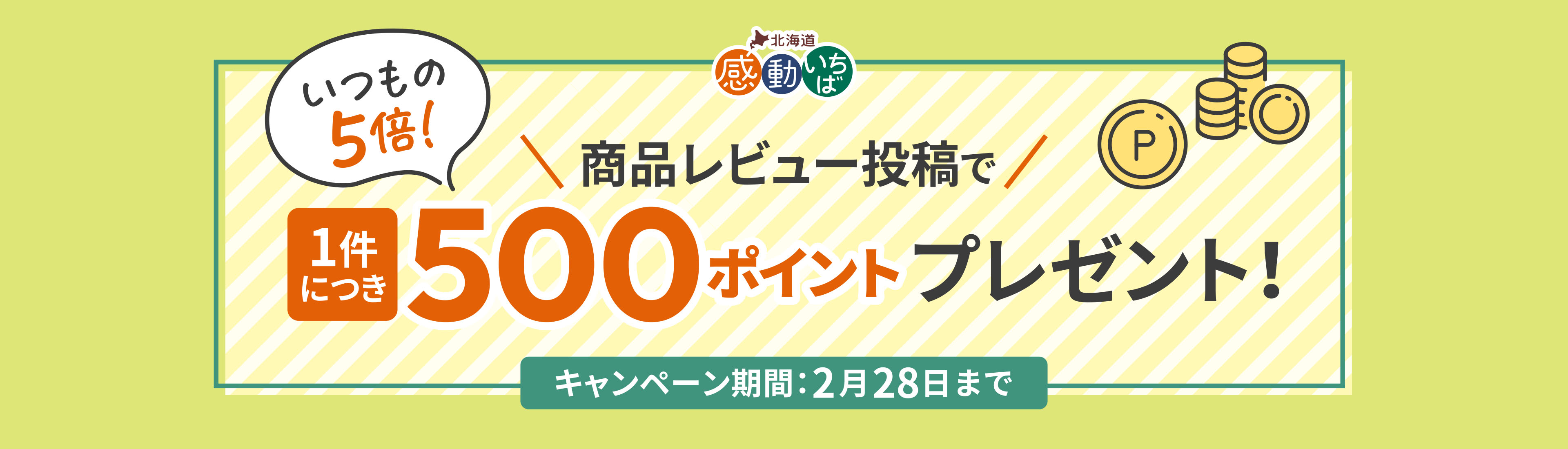 商品レビュー投稿で1件につき500ポイントプレゼント！