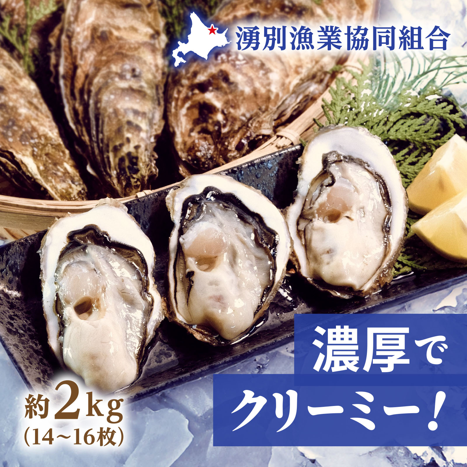 北海道湧別サロマ湖産 龍宮かき 約2kg（14~16枚）