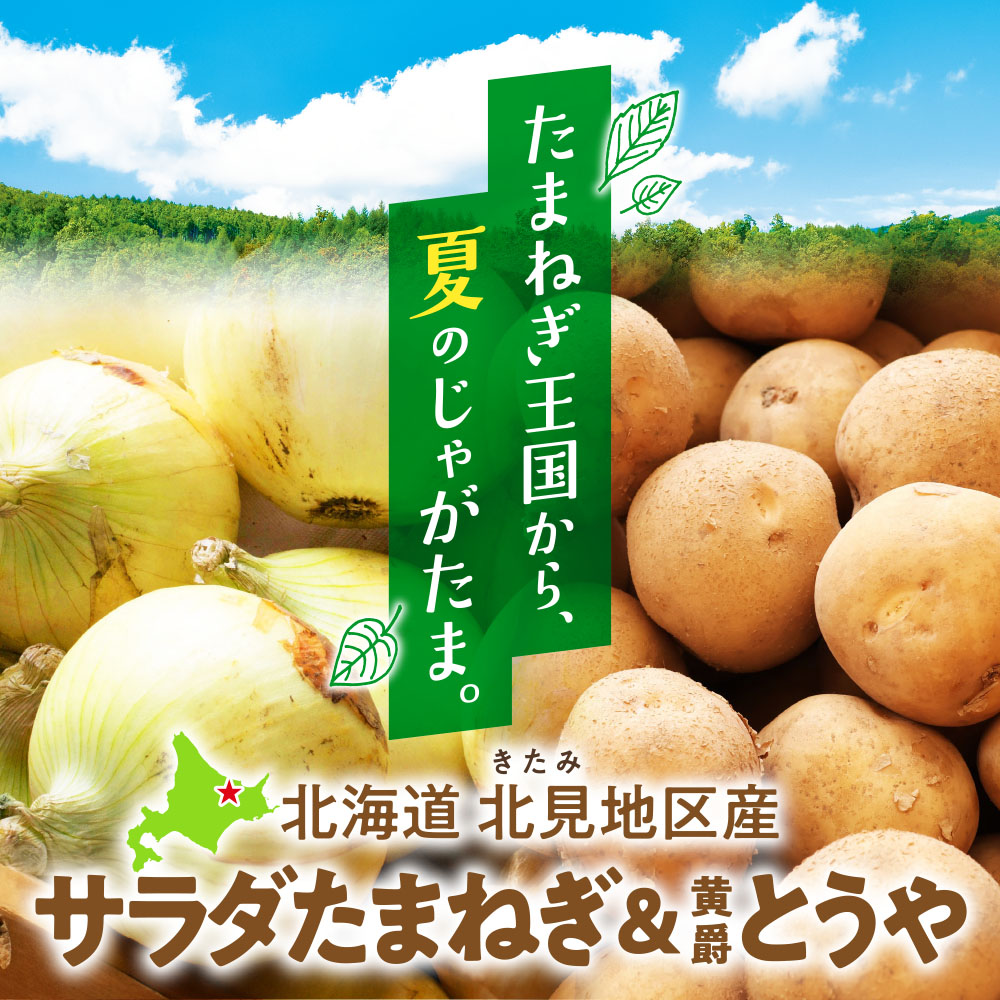 北海道北見地区産 サラダたまねぎ&じゃがいも黄爵とうや