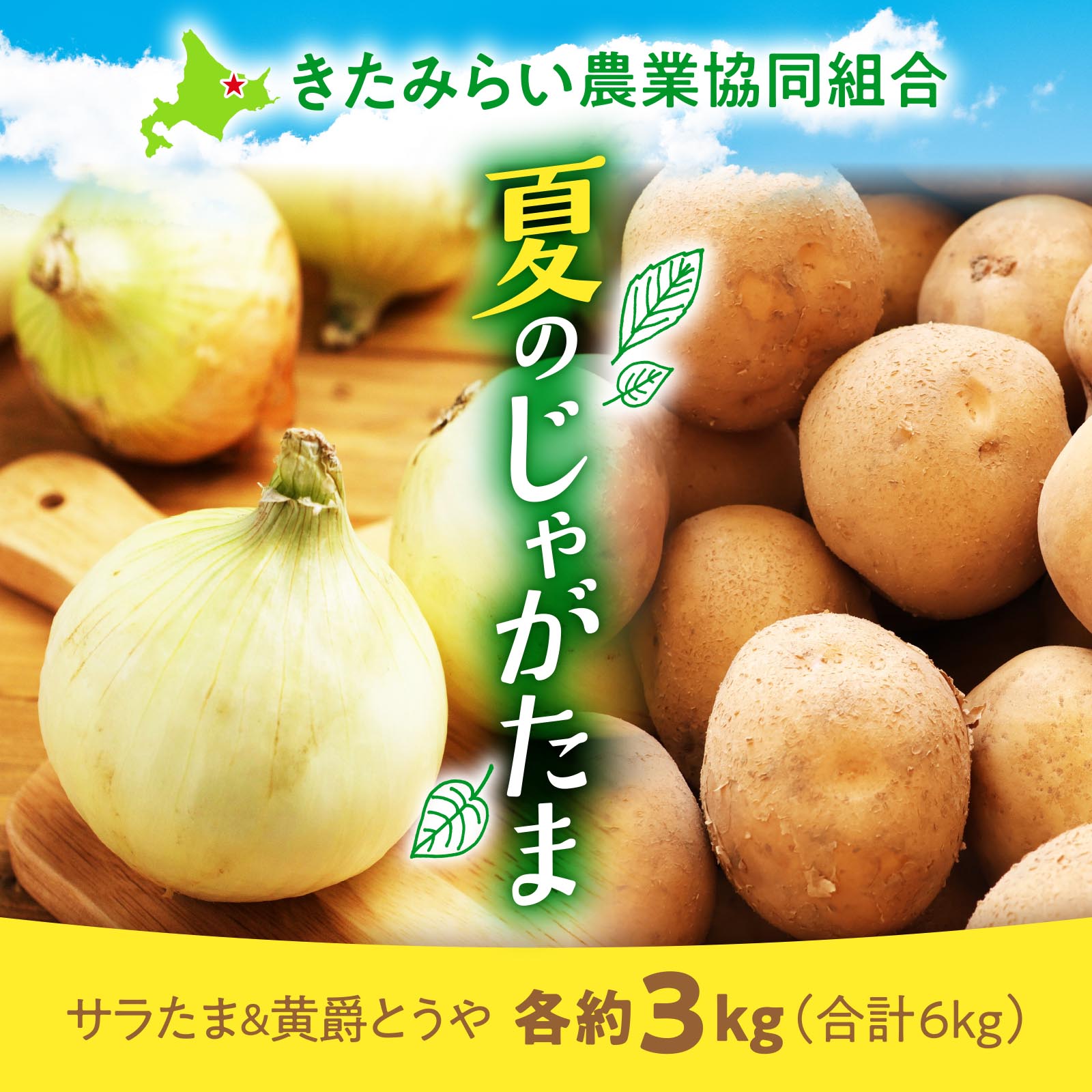 北海道北見地区産 サラダたまねぎ&じゃがいも黄爵とうや 各約3kg（合計6kg）