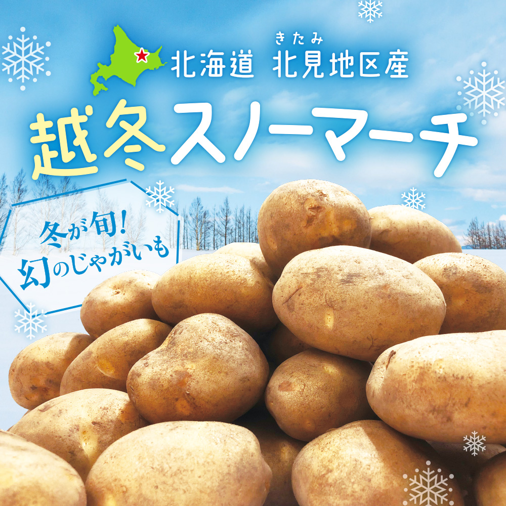 北海道北見地区産 越冬スノーマーチ 特集ページ