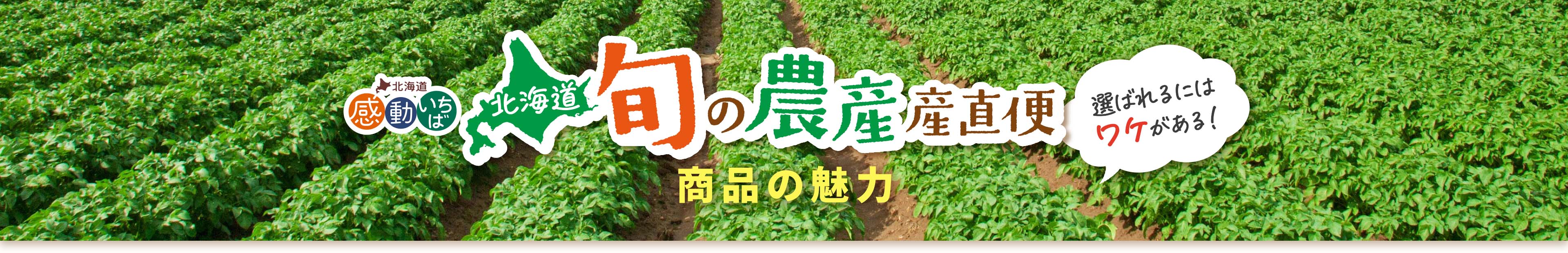 北海道「旬の農産」産直便 商品の魅力