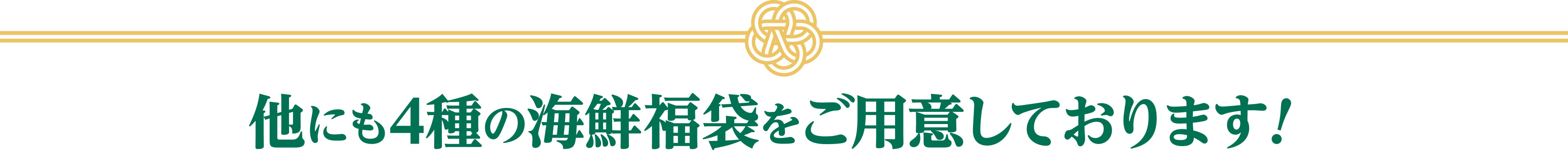 他にも4種の海鮮福袋をご用意しております！