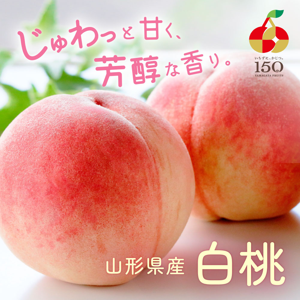 山形県産 白桃