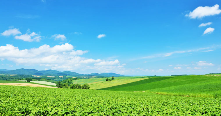 毎日の食卓に北海道を