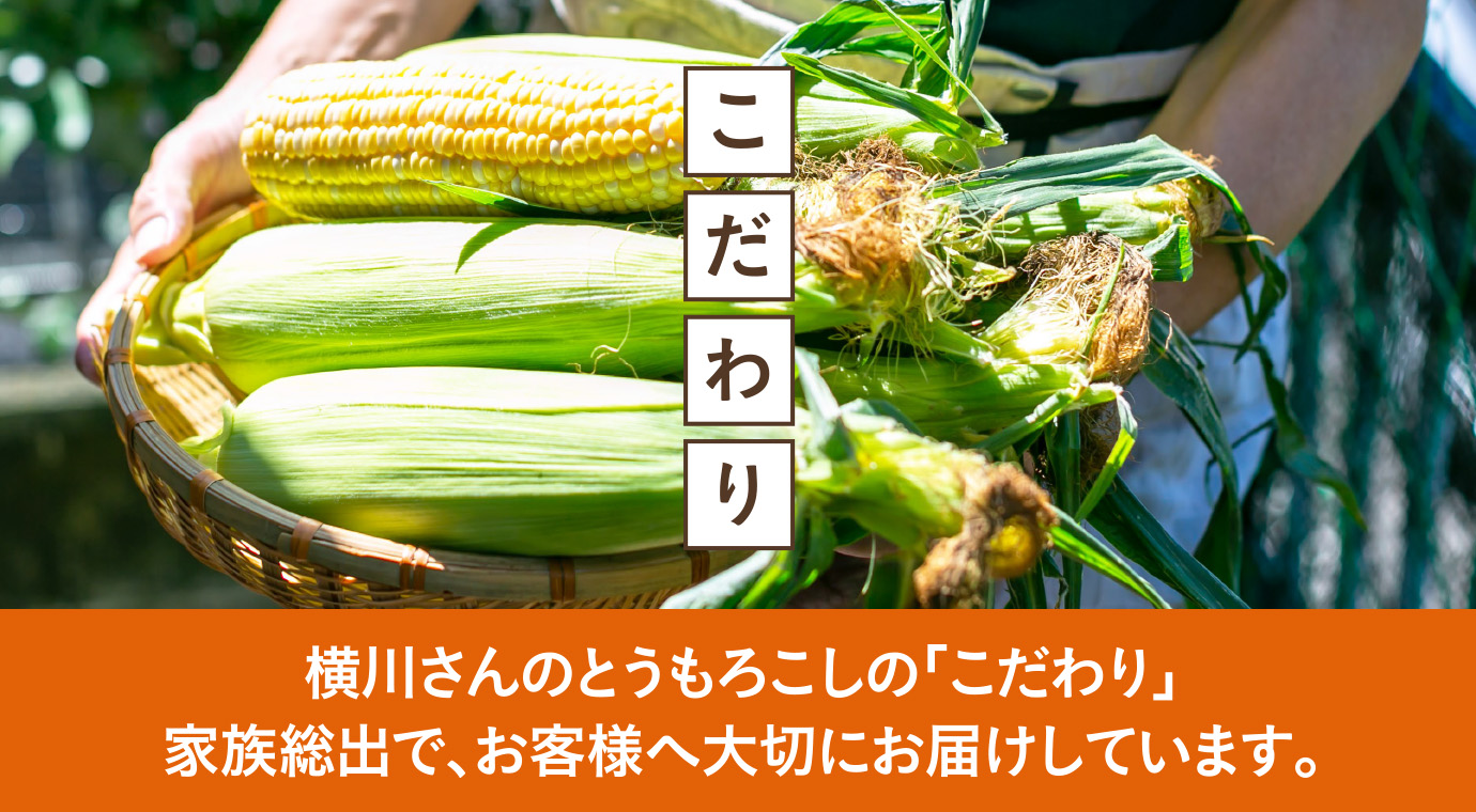 横川さんのとうもろこしの「こだわり」。　家族総出で、お客様へ大切にお届けしています。