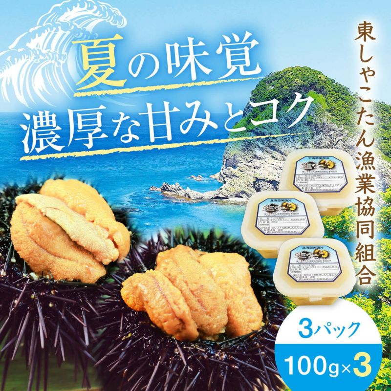 綺麗に並んだムラサキウニ５枚と宇和島じゃこ天５枚付き 鮮魚通販［豊洲 Okawari 鮮魚店］殻付きウニ イガウニ