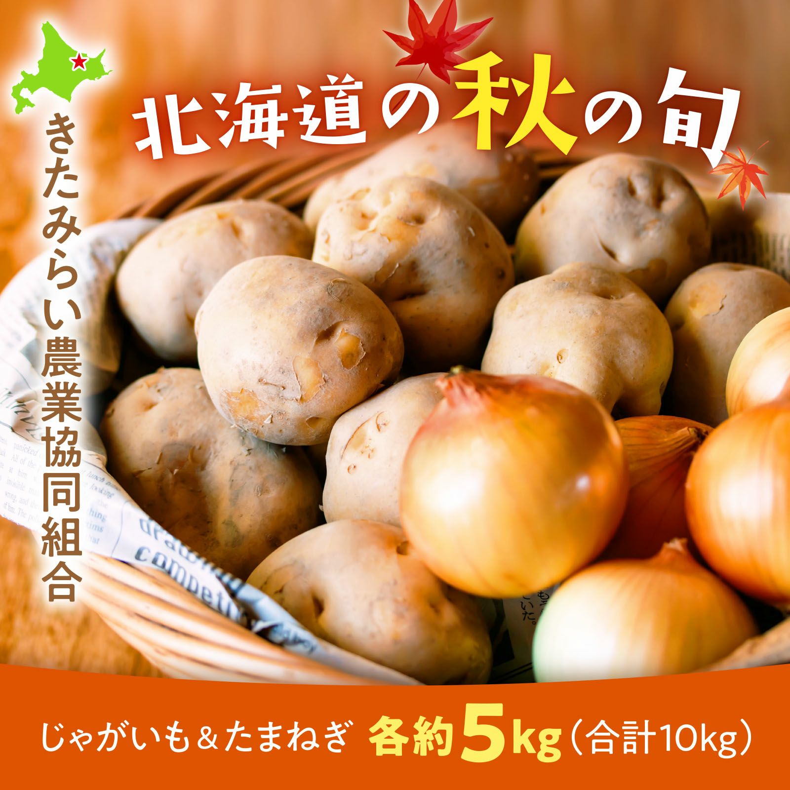 北海道北見地区産じゃがいも男爵&たまねぎセット各約5kg（合計10kg
