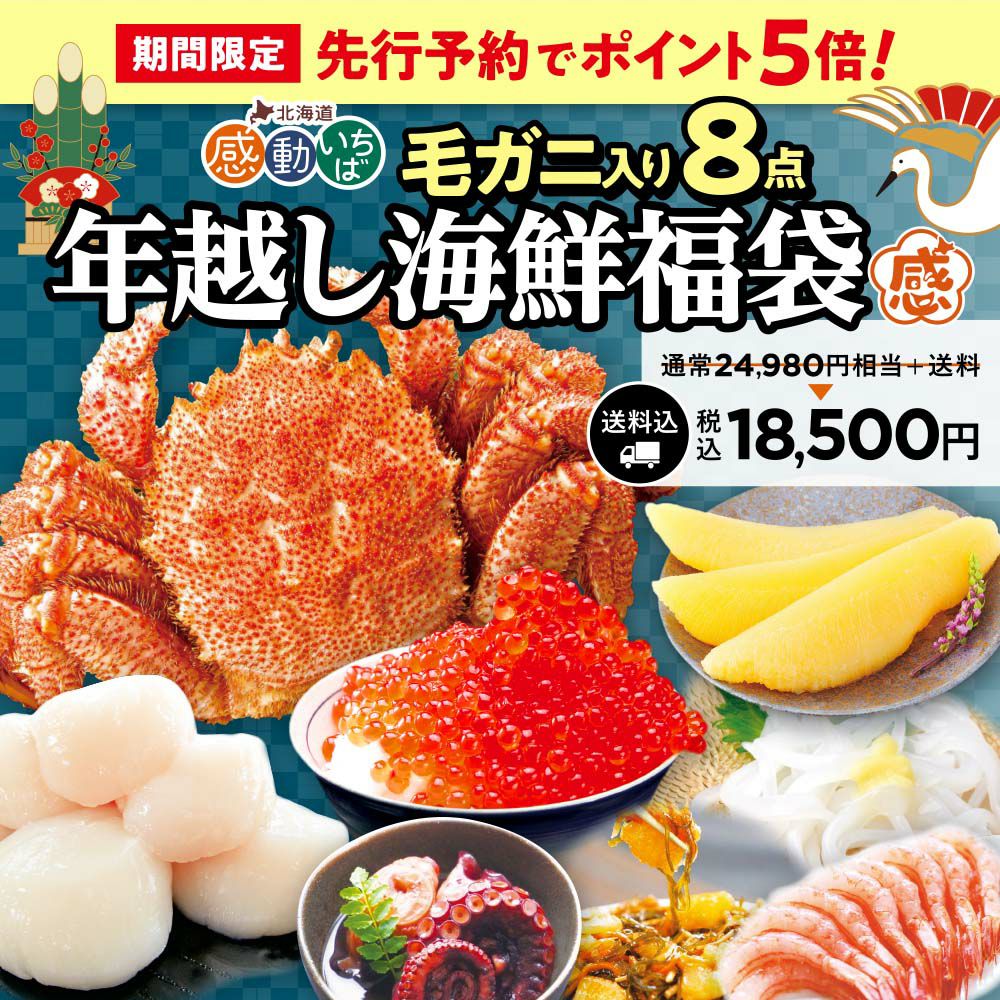 ふくふくこまち 未使用 北出与三郎 暖流文 本袋 袋帯 ガード加工