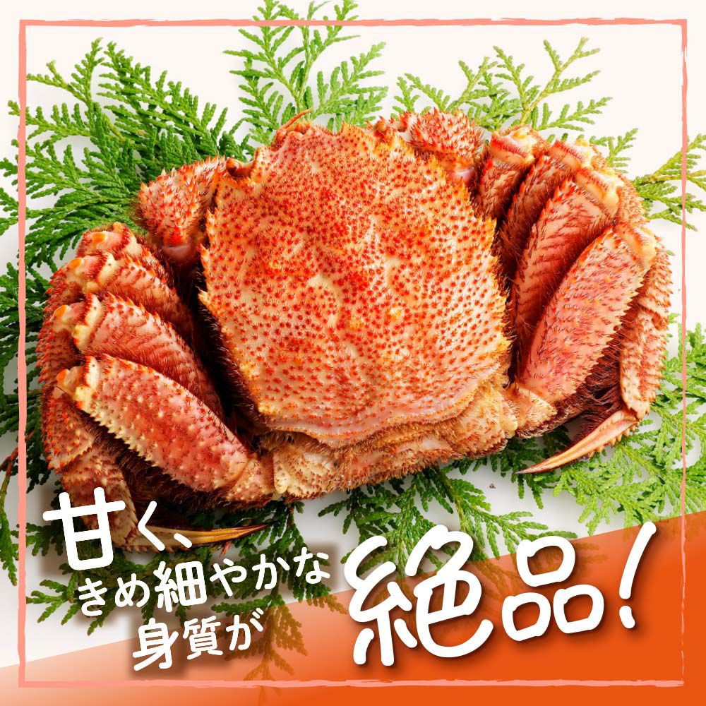 北海道オホーツク海産特大毛ガニ（姿） 約770g | 感動いちばオンライン