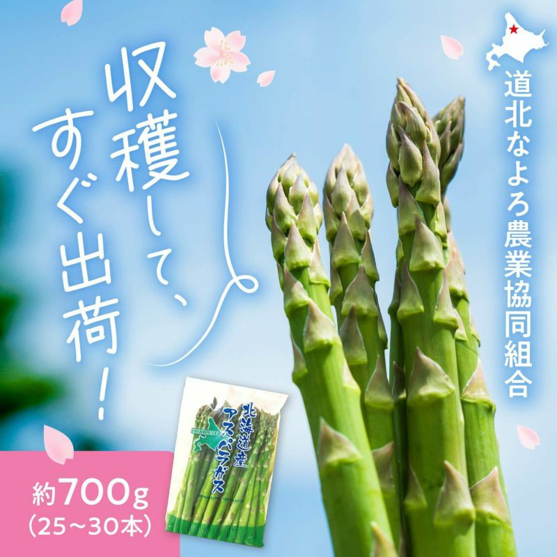 北海道名寄産朝もぎアスパラ〈秀品〉Lサイズ 約700g（25~30本