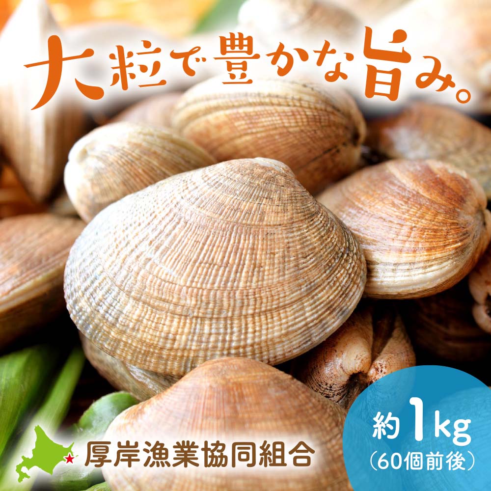 北海道厚岸産活あさり 約1kg（60個前後） | 感動いちばオンラインショップ