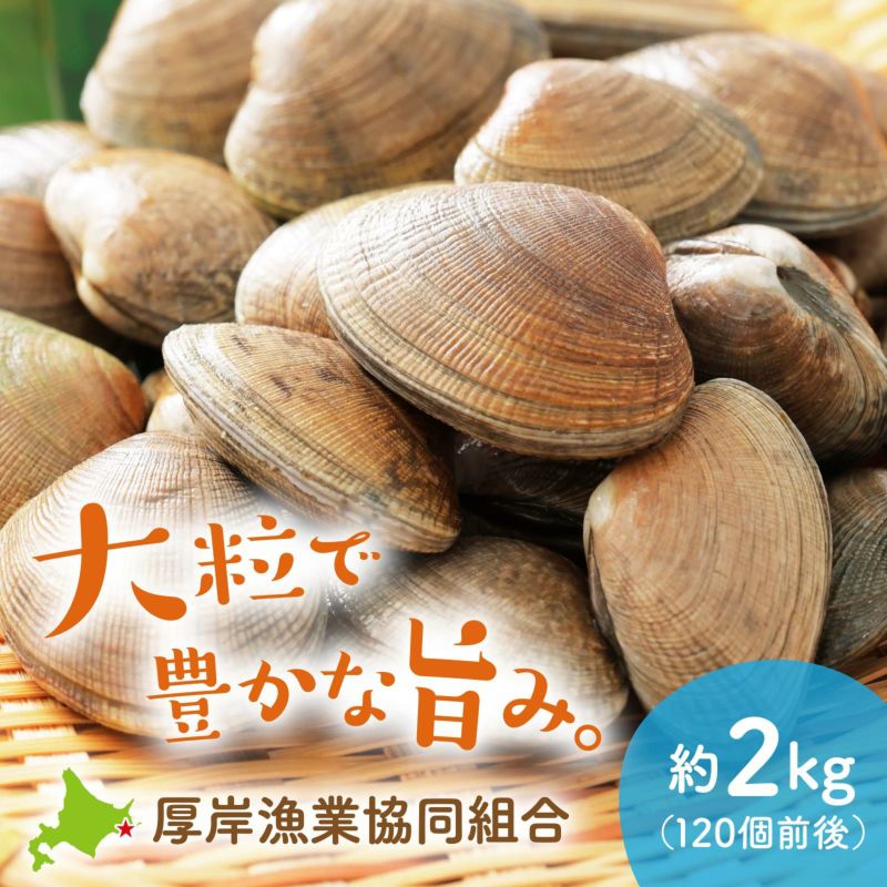 北海道厚岸産活あさり 約2kg（120個前後） | 感動いちば
